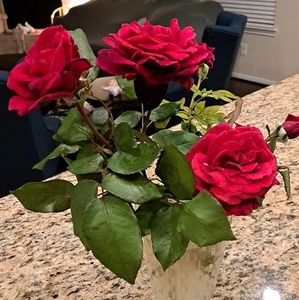 Meet your Posher, Shamsa